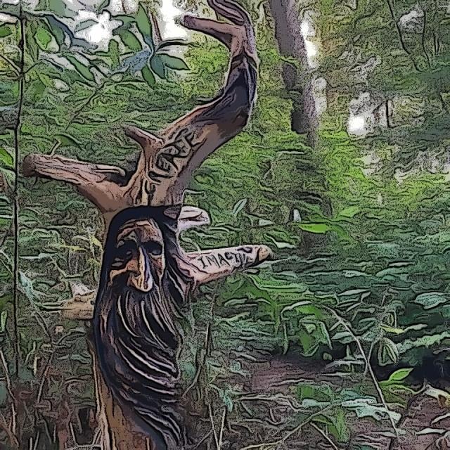 Spirit Trails