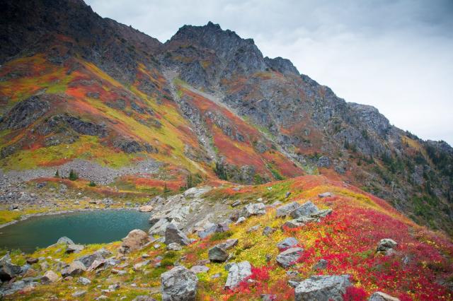 Williamson Lake