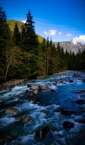 Golden Ears Trail Loop