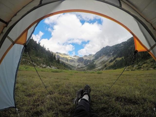 Brandywine Meadows