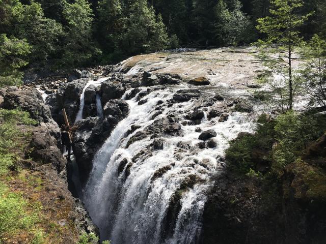 Englishman River Falls Trail