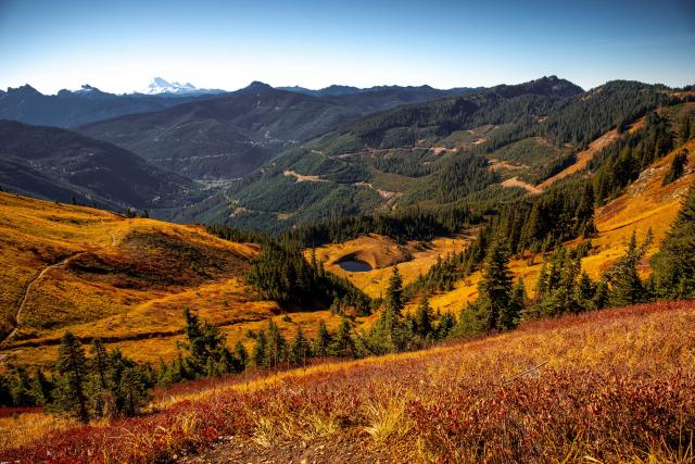 Mount Cheam