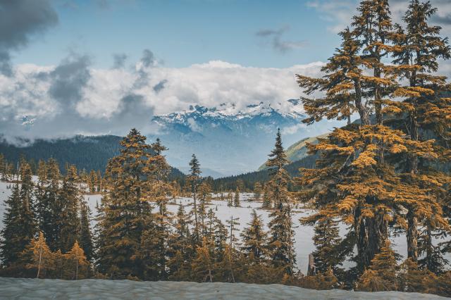 Elfin Lakes