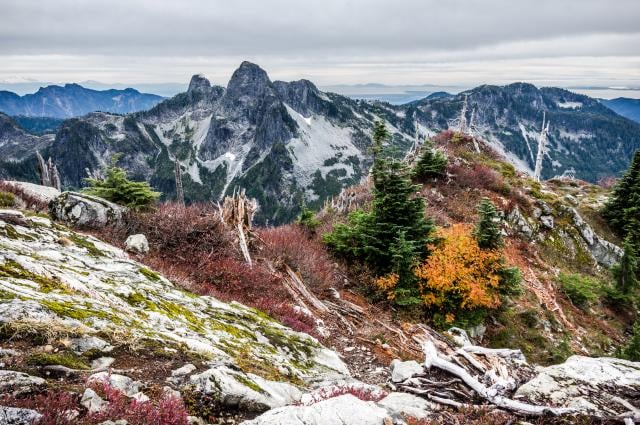 Mt Harvey