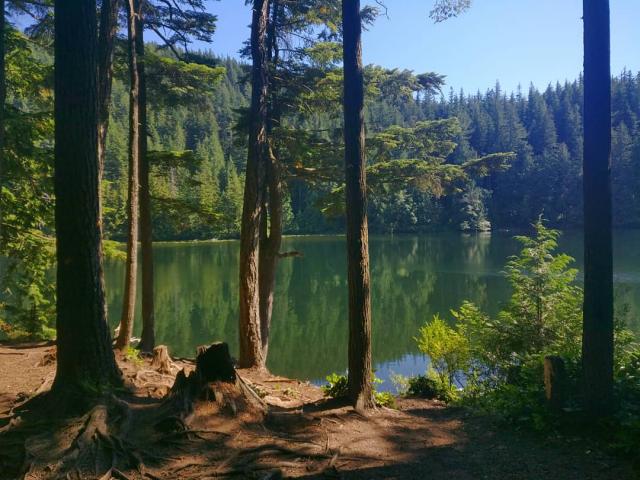 Chadsey Lake Trail