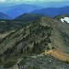 Heather Trail