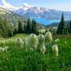 The Black Tusk/ Garibaldi lake