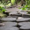 Beach Loop Trail