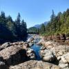 Wally Creek pullout