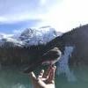 Joffrey Lake