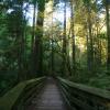 Capilano Pacific Trail