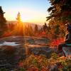 Hollyburn