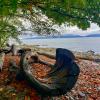 Foreshore Trail