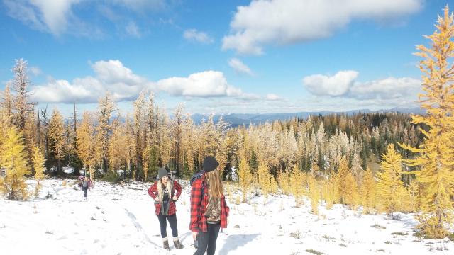 Frosty Mountain