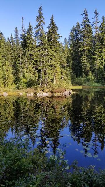 Goldie Lake