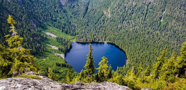 Mount Elsay Hike