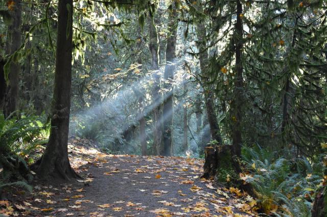 Houston Trail