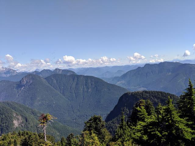 Alouette Mountain Trail