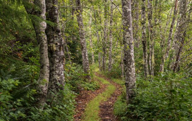 Sunshine Coast Trail