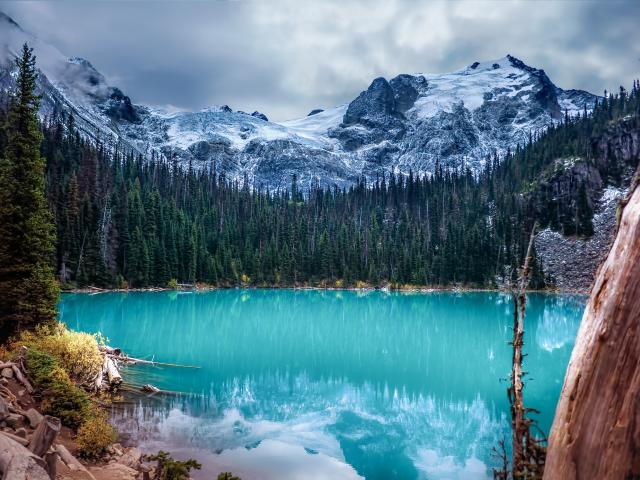 Joffre Lake Hike