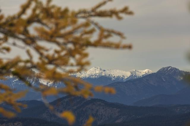 Frosty Mountain