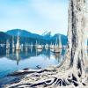 Stave Lake