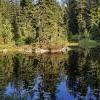 Goldie lake