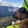 Needle peak