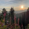 Crown Mountain