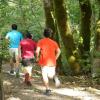Pacific Spirit Park