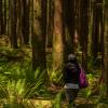 Golden Ears Canyon Loop