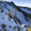 Frosty Mountain