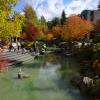 Whistler village
