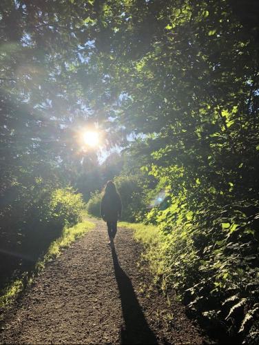 Pepin Brook Trail
