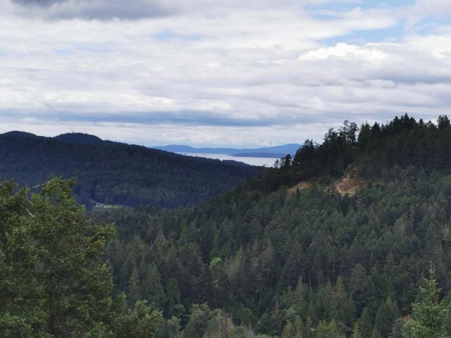Mount Park