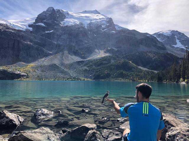 Joffre Lakes