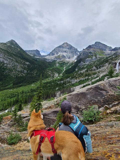 Great Glacier Trail