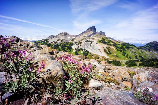 Panorama Ridge Trail