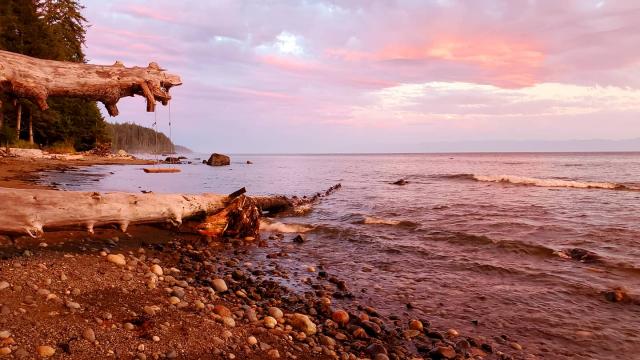 Juan De Fuca Trail