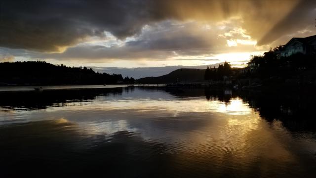 Shoreline Trail Photo | 2020 Hiking Photo Contest | Vancouver Trails