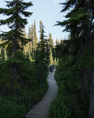 Garibaldi Lake