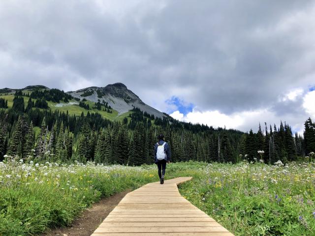 Panorama Ridge Trail