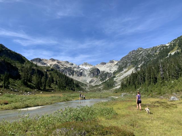 Brandywine Meadows