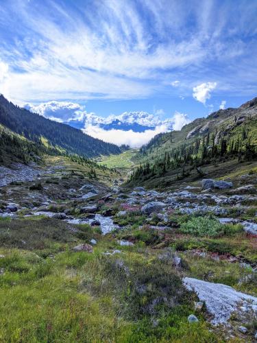 Brandywine Meadows