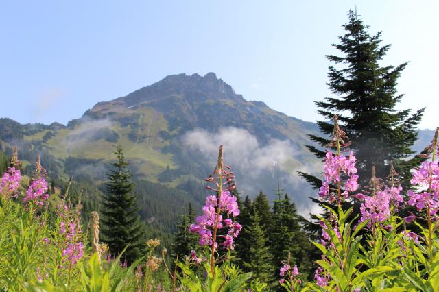 Cheam Peak