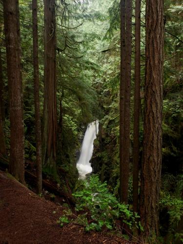 Cypress Falls