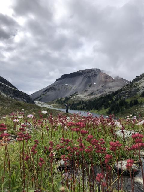 Conflict And Ring Lake
