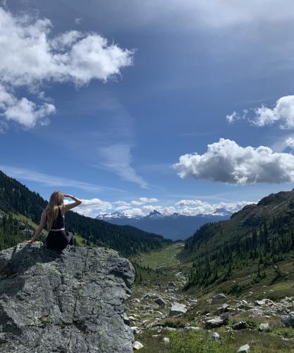 Brandywine Meadows