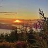 Bowen Lookout