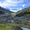 Brandywine Meadows